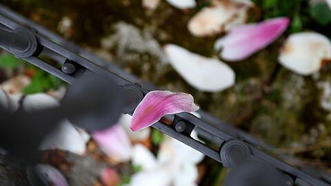 Nach einer fr&uuml;hlingshaften ersten Aprilwoche macht sich Regen breit.