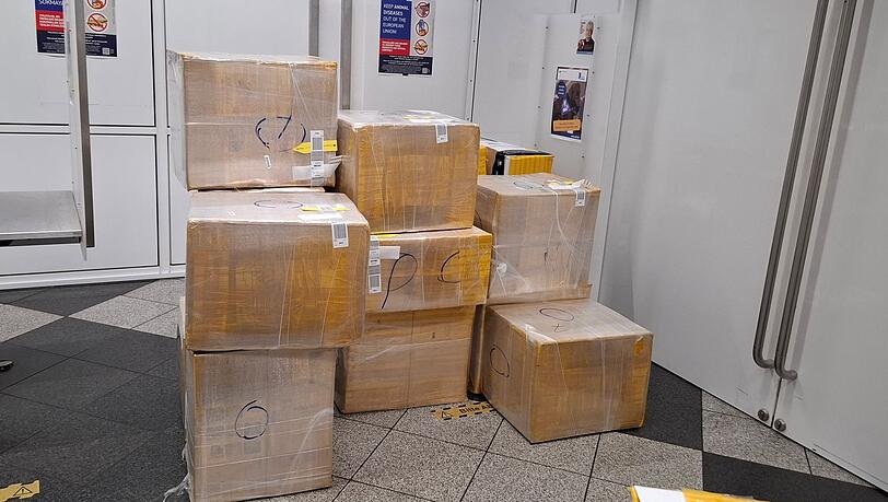 Die Kisten erregten die Aufmerksamkeit der Zöllner.