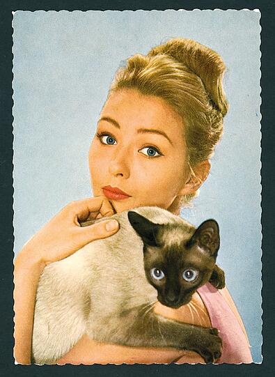 Mit acht Kinderstar, mit 18 mit Tony Curtis verheiratet. In ihrem Buch "Scheinweltfieber" packt Christine Kaufmann aus.