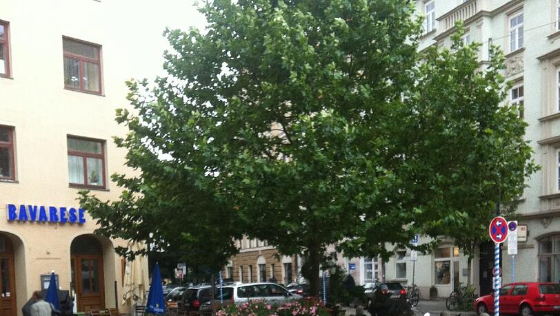 Hübsch: Die Strickoptik in der Dreimühlenstraße. Hübsch: Die Strickoptik in der Dreimühlenstraße.