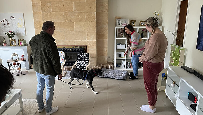 Jochen Bendel mit Hündin Kaia in der Villa von Daniela Büchner Jochen Bendel mit Hündin Kaia in der Villa von Daniela Büchner