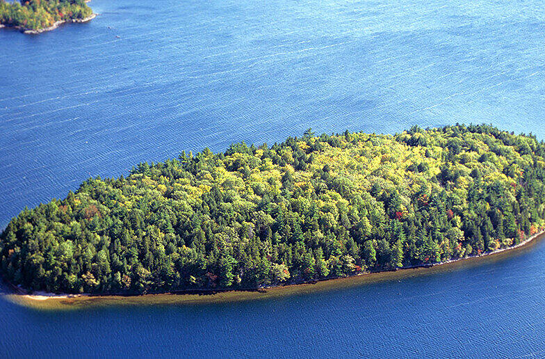 Eagle's Nest Island: Laut Tchibo eine "Insel-Perle in der schönsten Atlantik-Provinz Kanadas". Preis: 225.000 Euro.
