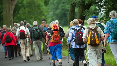 Viele Seniorinnen und Senioren sind noch fit - derzeit wird verhandelt, wer k&uuml;nftig wann in Rente darf. (Archivfoto)