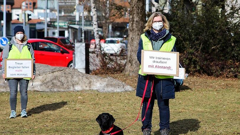 Während Corona haben sich viele Menschen einen Hund angeschafft.