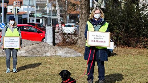 Während Corona haben sich viele Menschen einen Hund angeschafft.