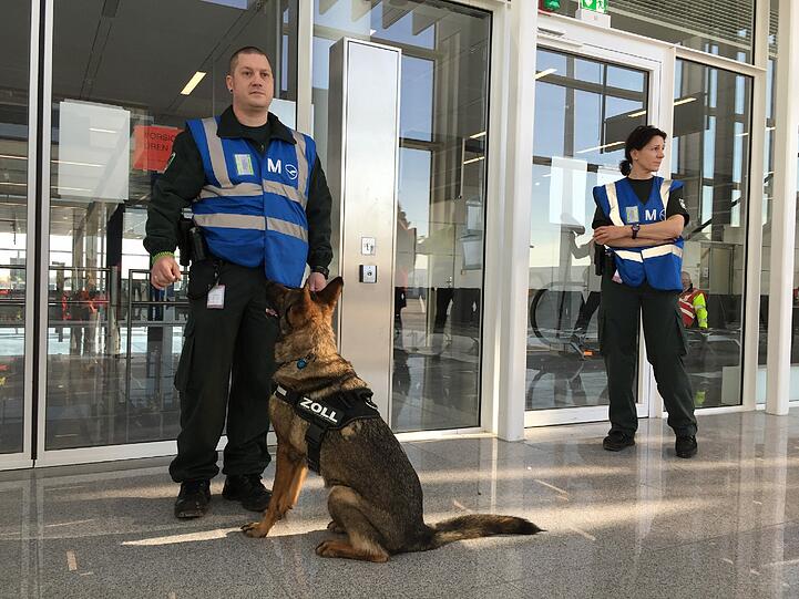 Spürhund Pitt muss sich beweisen: Wenn ein Gast verbotene Substanzen dabei hat, schlägt der Hund an.