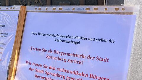 Bei einer kleinen Demonstration auf dem Marktplatz werden Rücktrittsforderungen gegen die Bürgermeisterin geäußert.