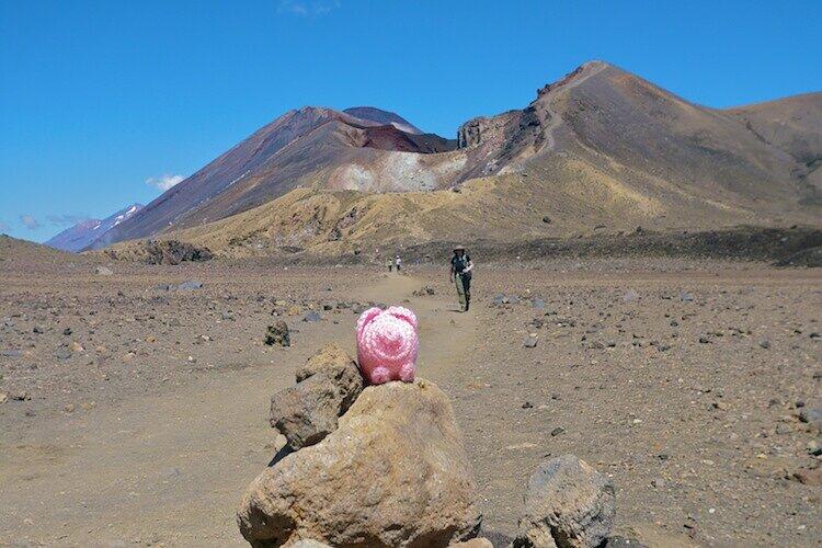 In Neuseeland war es auch schon