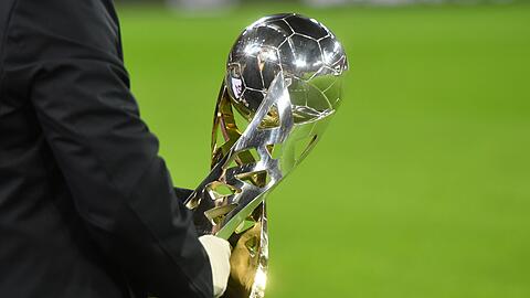 53 Zentimeter hoch und 5,5 Kilogramm schwer: Der Supercup.