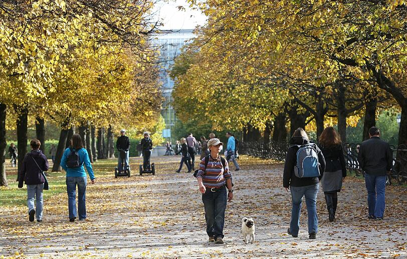 Und weg sind sie... Aber klassisch zu Fuß lässt es sich die herbstliche Natur auch genießen.