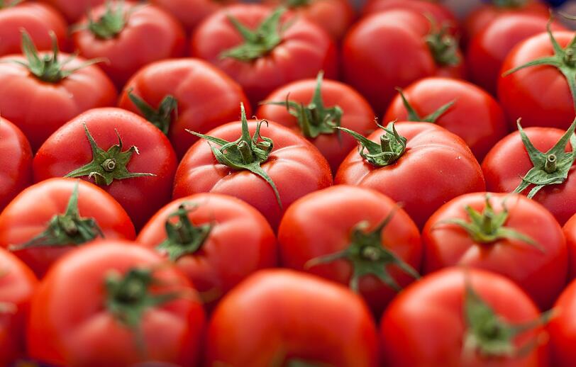 Wenn man es genau nimmt, dann handelt es sich nach den Regeln der Botanik bei der Tomate um eine Beere. Laut Definition werden Beeren in der Pflanzenbiologie als sogenannte Schlie&szlig;fr&uuml;chte bezeichnet, die aus einem einzigen Fruchtknoten bis zur Reifung geschlossen bleiben. Zudem definiert sie eine fleischig-saftige Fruchtwand.