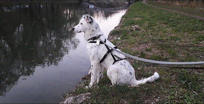 Yuki