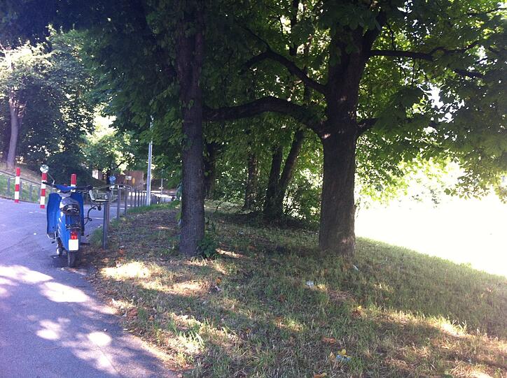 Die frisch bemalte Unterführung, und wo sie hinführt...