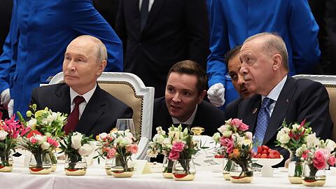 Der t&uuml;rkische Pr&auml;sident Erdogan ist besorgt wegen der gef&auml;hrlichen Lage im Schwarzen Meer.