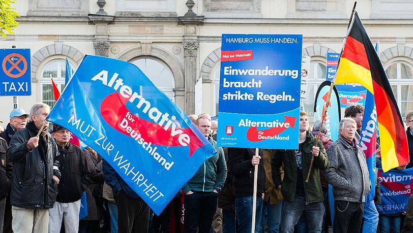 Vizekanzler Sigmar Gabriel hat sich für eine Beobachtung der AfD durch den Verfassungsschutz ausgesprochen.