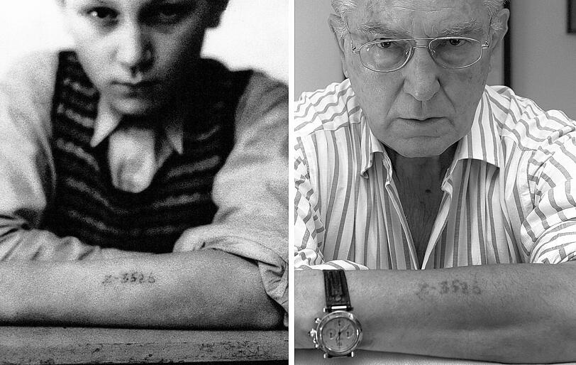 Mit dem Foto links suchten die Franzosen nach den Eltern: Die Häftlingsnummer &bdquo;Z 3526&ldquo; &ndash; das Z steht für &bdquo;Zigeuner&ldquo; &ndash; wurde Mano Höllenreiner in Auschwitz eintätowiert. Fotos: Hanser, Schlüter