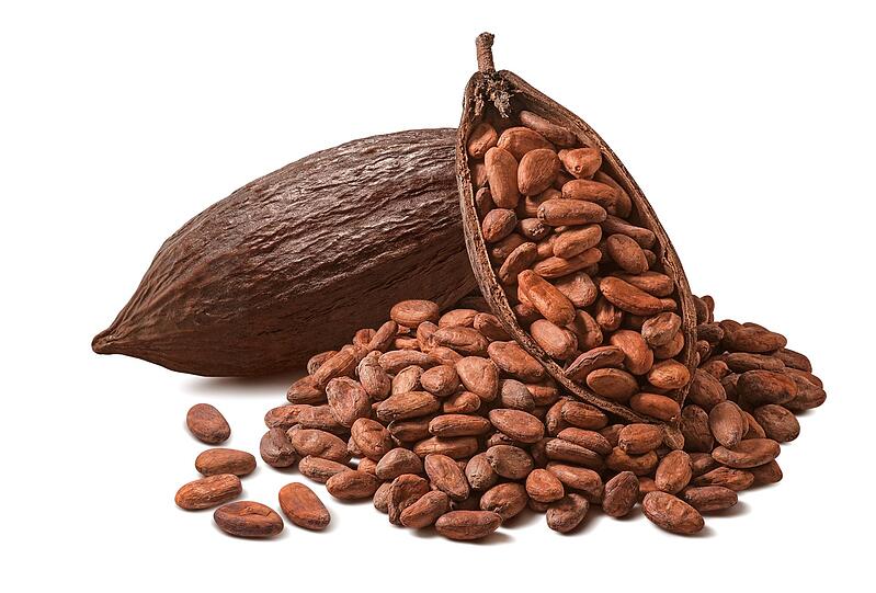 Die Flavonoide, die sich besonders in Schokolade mit einem hohen Kakaogehalt finden, sind sogenannte sekund&auml;re Pflanzenstoffe mit antioxidativer Wirkung. Diese wirken entz&uuml;ndungshemmend im menschlichen K&ouml;rper und unterst&uuml;tzen die Gehirnfunktion sowie das Herz-Kreislaufsystem. Antioxidantien arbeiten gegen freie Radikale im K&ouml;rper und st&auml;rken das Immunsystem.