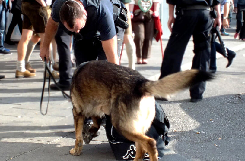 Der Diensthund wurde von dem Täter getreten. (Symbolbild)