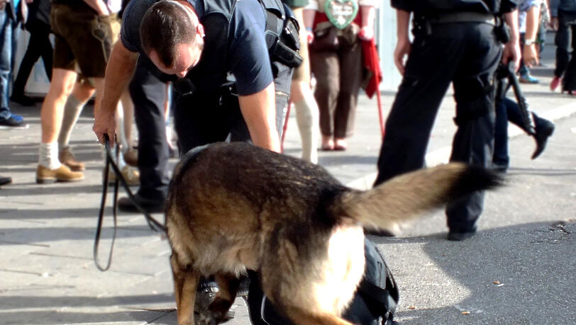Der Diensthund wurde von dem Täter getreten. (Symbolbild) Der Diensthund wurde von dem Täter getreten. (Symbolbild)