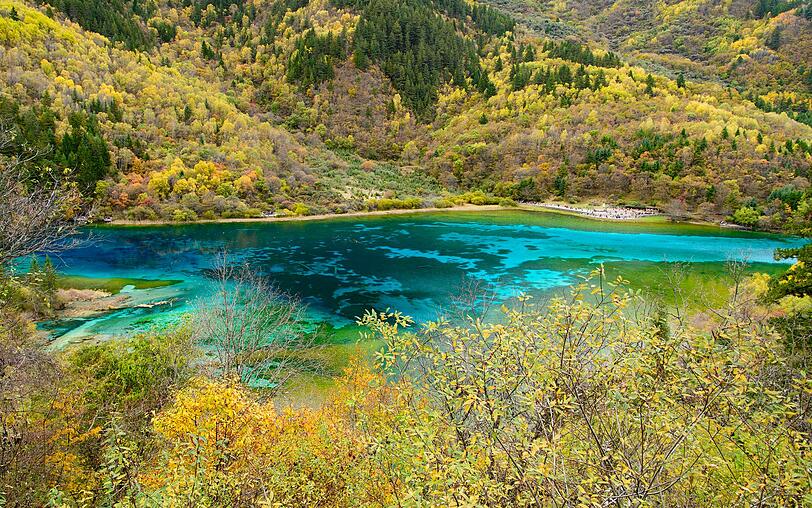 Das Naturschutzgebiet Jiuzhaigou in China hält ebenfalls einen Schatz bereit: den wunderschönen Fünf-Blumen-See. Das Wasser selbst ist kristallklar, erscheint aber türkis. Wenn sich im Herbst das Laub bunt färbt, wird das Gewässer durch Spiegelungen noch farbenprächtiger. Das Naturschutzgebiet Jiuzhaigou in China hält ebenfalls einen Schatz bereit: den wunderschönen Fünf-Blumen-See. Das Wasser selbst ist kristallklar, erscheint aber türkis. Wenn sich im Herbst das Laub bunt färbt, wird das Gewässer durch Spiegelungen noch farbenprächtiger.