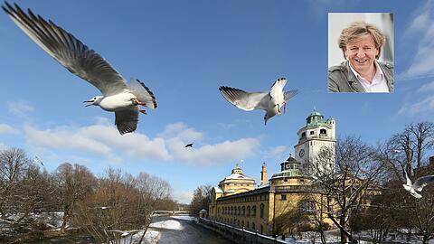 Sigi Müller ist auf Entdeckungstour an der winterlichen Isar.