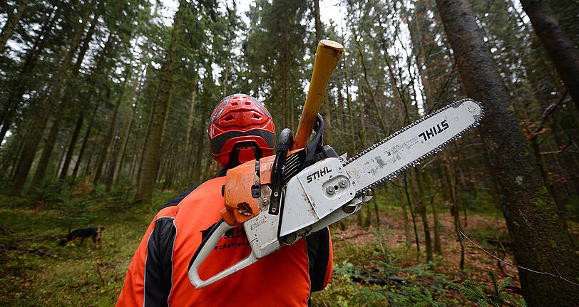Der 71-Jährige war mit seinem Sohn im Wald mit Aufräumarbeiten beschäftigt. (Archivbild)