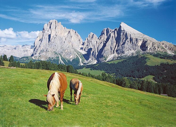 Grandiose Bergwelt des Grödnertals.