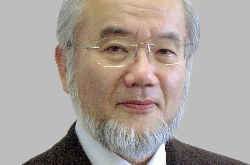 Der japanische Wissenschaftler Yoshinori Ohsumi erhält den Medizin-Nobelpreis 2016.