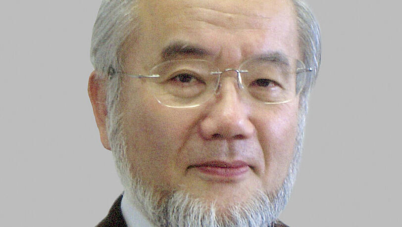 Der japanische Wissenschaftler Yoshinori Ohsumi erhält den Medizin-Nobelpreis 2016. Der japanische Wissenschaftler Yoshinori Ohsumi erhält den Medizin-Nobelpreis 2016.