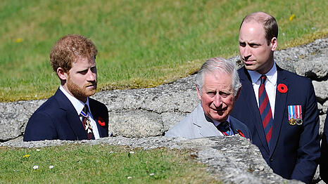 Prinz William (re.) bereitet sich auf seine Zukunft als K&ouml;nig vor. Wie er wohl &uuml;ber Harrys (li.) Rolle in der Monarchie denkt?
