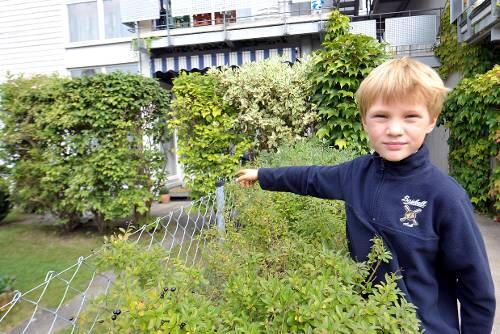 Zeigt auf den lebensrettenden Busch: Der Schüler Nico (8) wurde Zeuge des Geschehens, half bei der Rettung.
