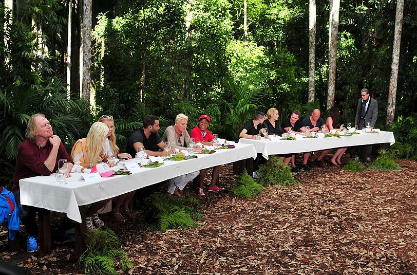 Links das Team "Base Camp" mit (v.l.) Gunter Gabriel, Sophia Wollersheim, Jenny Elvers, David Ortega, Brigitte Nielsen und Ricky Harris. Rechts das Team "Snake Rock" mit (v.r.) Rolf Zacher, Nathalie Volk, Thorsten Legat, Jürgen Milski, Helena Fürst und Menderes