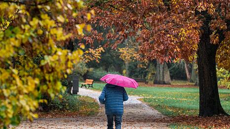 Warme Kleidung und vielerorts auch ein Regenschirm sind in den n&auml;chsten Tagen in Deutschland angesagt. (Archivbild)