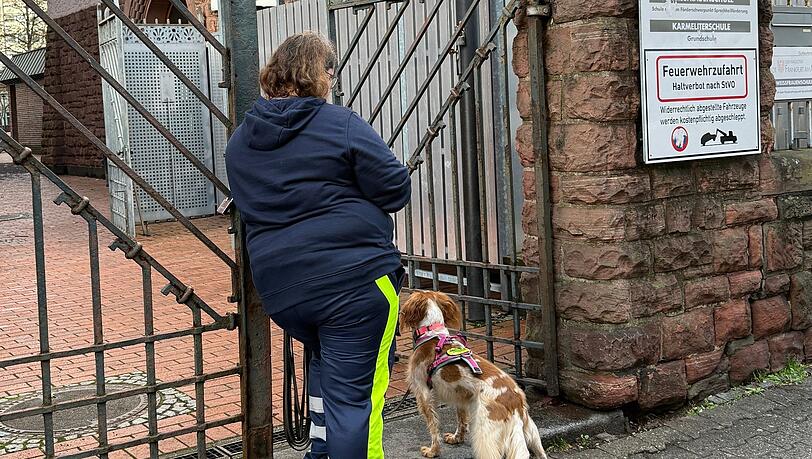 Auch mit Hilfe eines Hundes wurde der Junge gesucht.