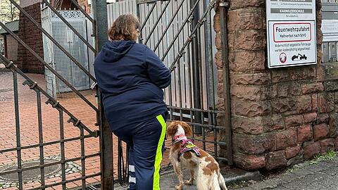 Auch mit Hilfe eines Hundes wurde der Junge gesucht.