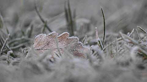 Vielerorts bleibt es schneefrei an Weihnachten - aber es kann Reif geben.