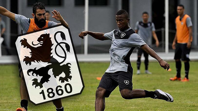 Kickt er bald an der Grünwalder Straße? Das brasilianische Toptalent Ribamar (r.). Kickt er bald an der Grünwalder Straße? Das brasilianische Toptalent Ribamar (r.).