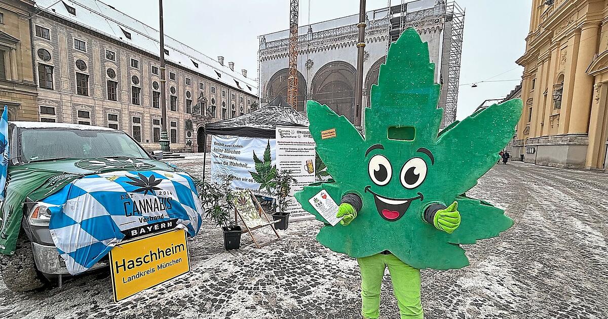 -K-nig-von-Haschheim-sammelt-Unterschriften-Kommt-jetzt-eine-neue-Partei-ins-Rathaus-