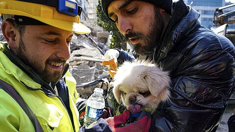 Retter geben einem Hund nach einer Rettungsaktion Wasser.