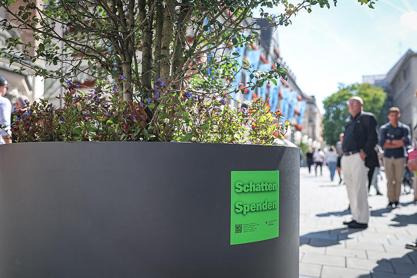 "Schatten Spenden" steht auf den Kübeln. Denn für die neuen Bäume sucht das Rathaus nach Geldgebern. "Schatten Spenden" steht auf den Kübeln. Denn für die neuen Bäume sucht das Rathaus nach Geldgebern.