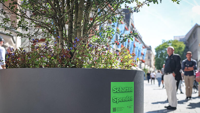 "Schatten Spenden" steht auf den Kübeln. Denn für die neuen Bäume sucht das Rathaus nach Geldgebern. "Schatten Spenden" steht auf den Kübeln. Denn für die neuen Bäume sucht das Rathaus nach Geldgebern.