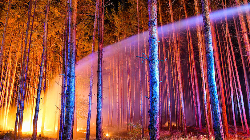 Hunderte Hektar Wald stehen südlich von Berlin in Flammen...