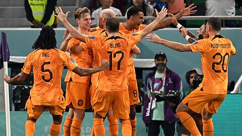 Die Spieler der Niederlande jubeln nach dem Tor zur 1:0 Führung gegen Senegal.