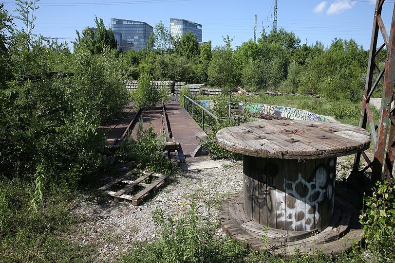 Überwuchert: das alte Drehkreuz auf dem ehemaligen Bahngelände.