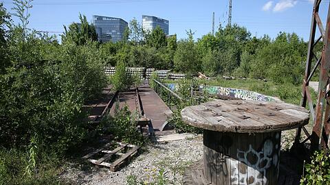 Überwuchert: das alte Drehkreuz auf dem ehemaligen Bahngelände.