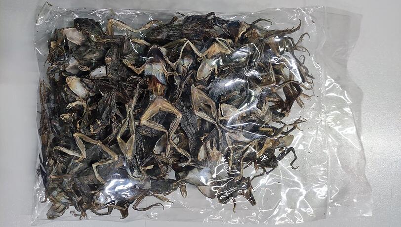 Lecker oder lieber nicht? 100 Gramm getrocknete Frösche.