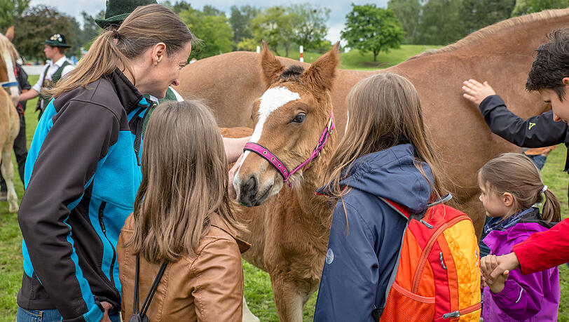 Besonders freuen wir uns am Freitag wieder auf den "Tag der Schulen", bei dem die Schülerinnen und Schülern wieder auf Tuchfühlung mit den Vierbeinern gehen können. Besonders freuen wir uns am Freitag wieder auf den "Tag der Schulen", bei dem die Schülerinnen und Schülern wieder auf Tuchfühlung mit den Vierbeinern gehen können.
