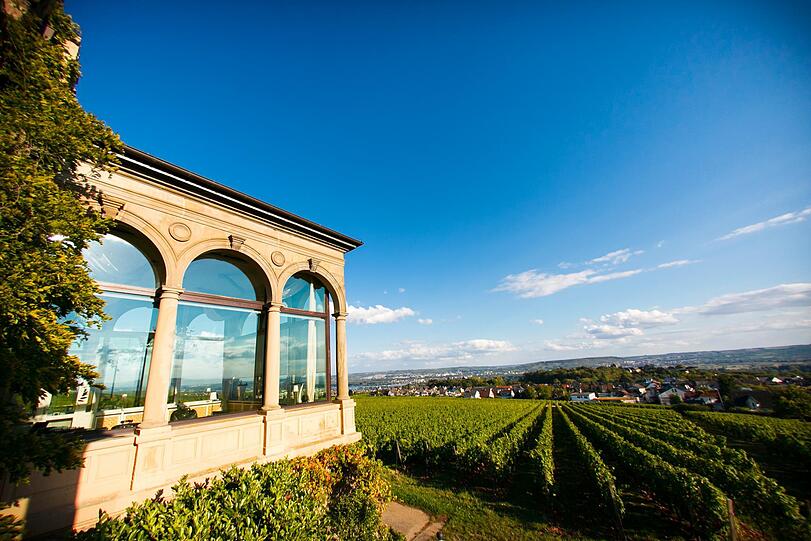 Aus dem Burgrestaurant des Relais & Châteaux Hotels Burg Schwarzenstein mit seinen großen Panoramafenstern schaut man über ein Rebenmeer im Rheingau.