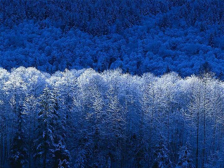 Schnee, so weit das Auge reicht - so sah der Winter heuer in Allach aus.