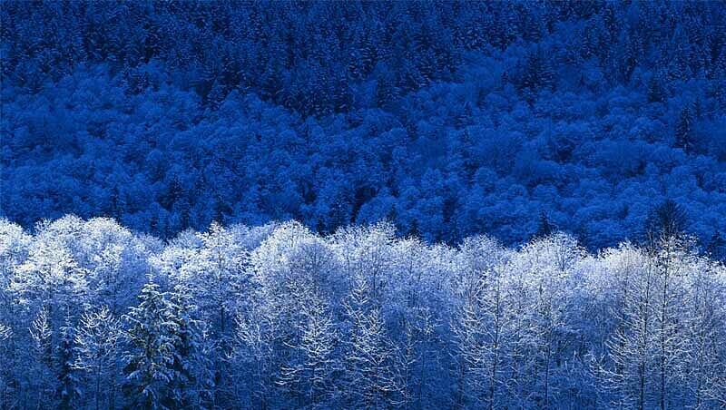 Schnee, so weit das Auge reicht - so sah der Winter heuer in Allach aus.